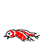 dead bird